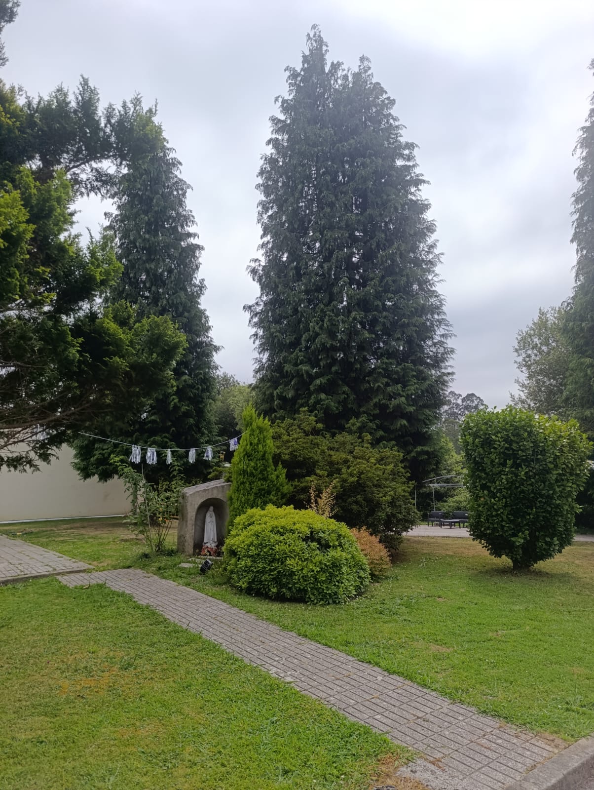 La terapia también se hace al aire libre